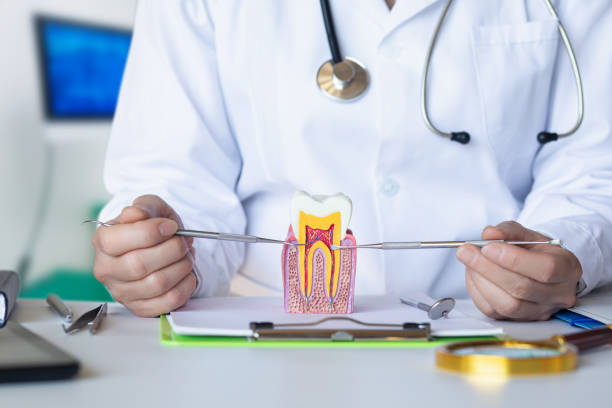 Best Walk-In Emergency Dental Services in Oak Hills Pce, LA